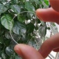*批量热销1mm2mm3mm光学镜片圆形钢化玻璃